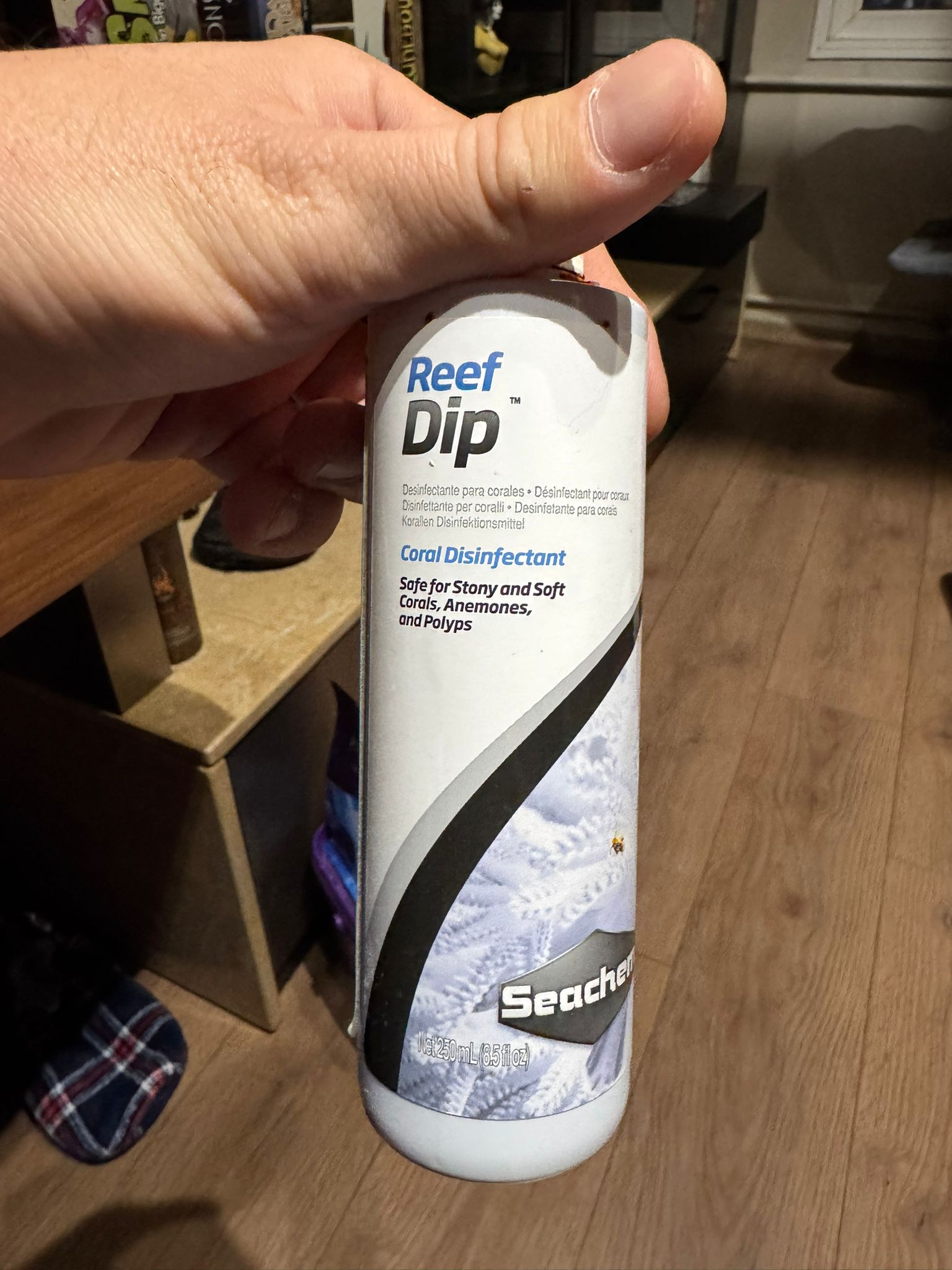 Reef Dip