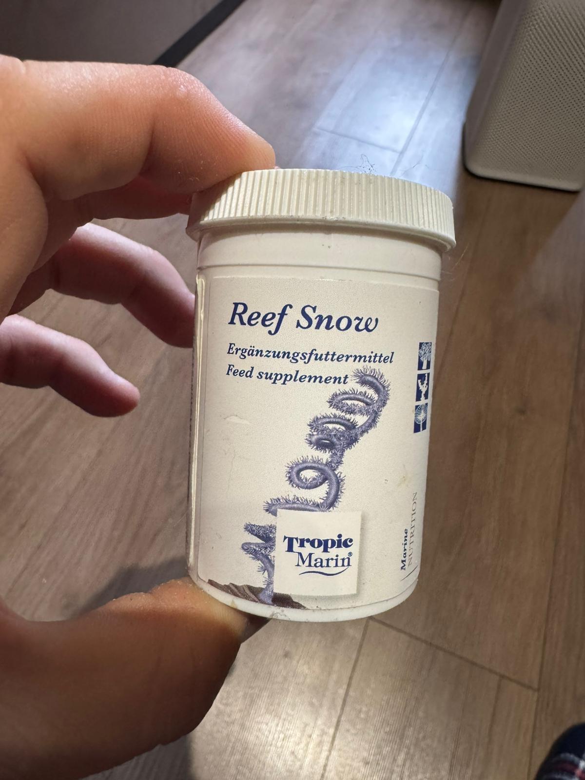 Reef Snow